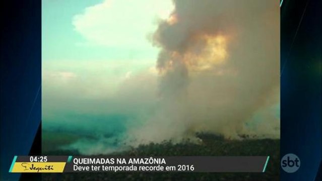 Queimadas na Amazônia podem bater recorde neste ano