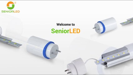 looking for LED T8 tube lightsDistributor in China
