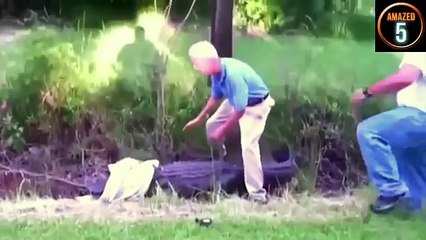 9 Real c rocodile a ttacks on human caught on video