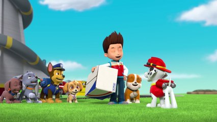 Paw Patrol : La Pat' Patrouille | Episodes inédits : à partir du lundi 19 septembre à 18h25 | NICKELODEON JUNIOR