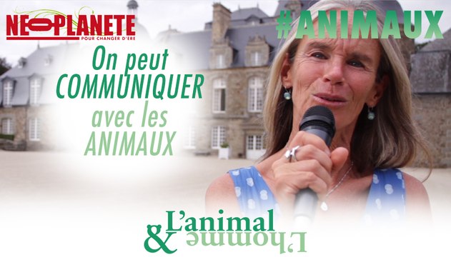 [L'animal&L'homme] Même s'ils ne parlent pas, on peut communiquer avec les animaux