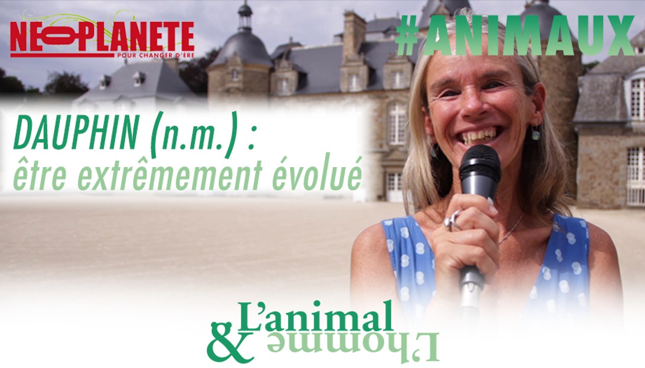 [L'animal&L'homme] "Quand je suis avec un dauphin, je suis face à un être extrêmement évolué."
