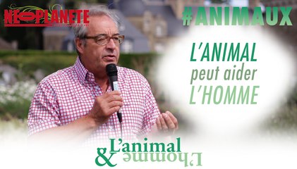 [L'animal&L'homme] En quoi l'animal peut-il aider l'Homme ?
