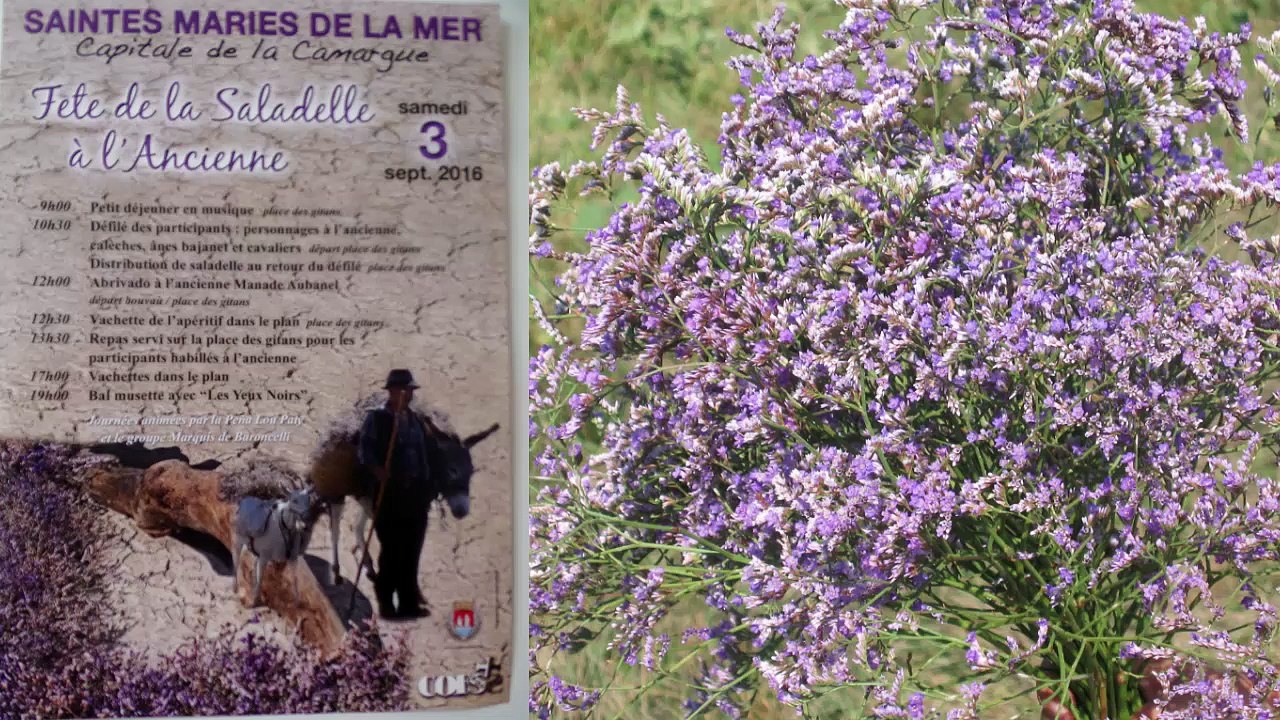 Fèsto de la saladello - Li Sànti-Marìo de la Mar - Lou 4 de setèmbre de 2016