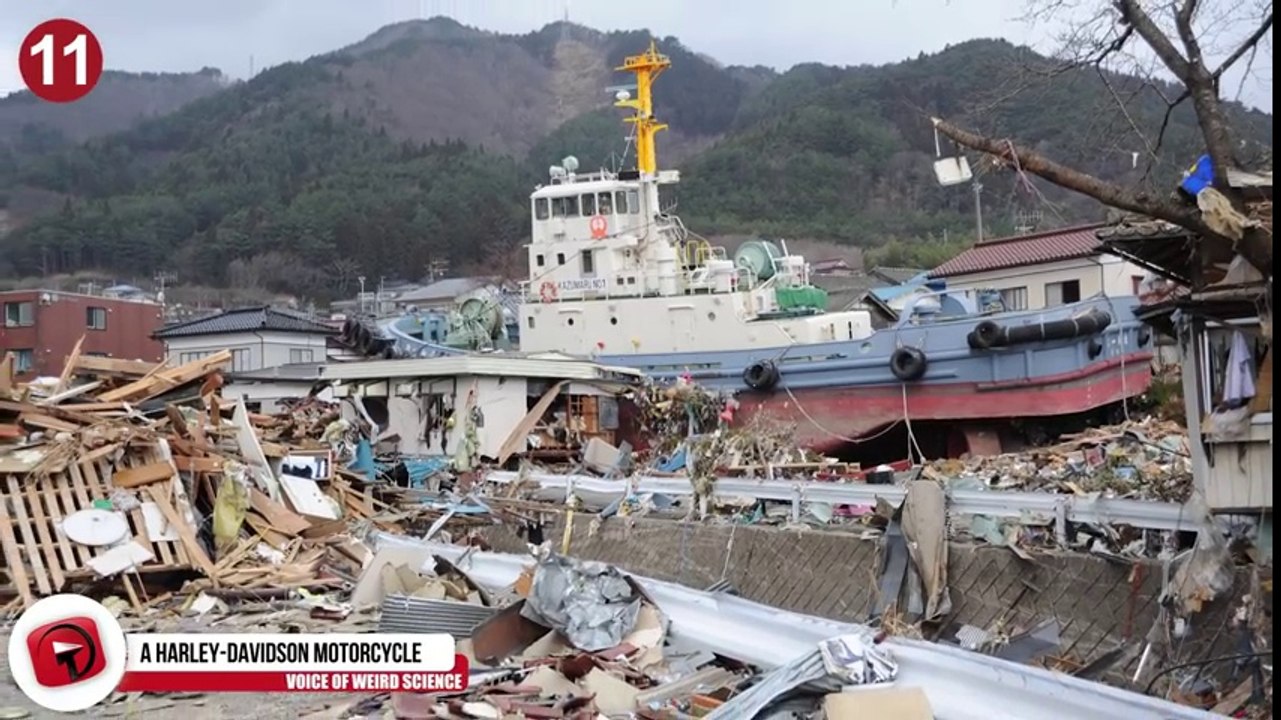 11 Things Found After Japanese Tsunami
