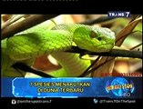 On The Spot   7 Spesies Menakutkan di Dunia Terbaru