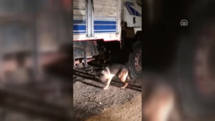 Kayseri'deki Uyuşturucu Kaçakçılığı