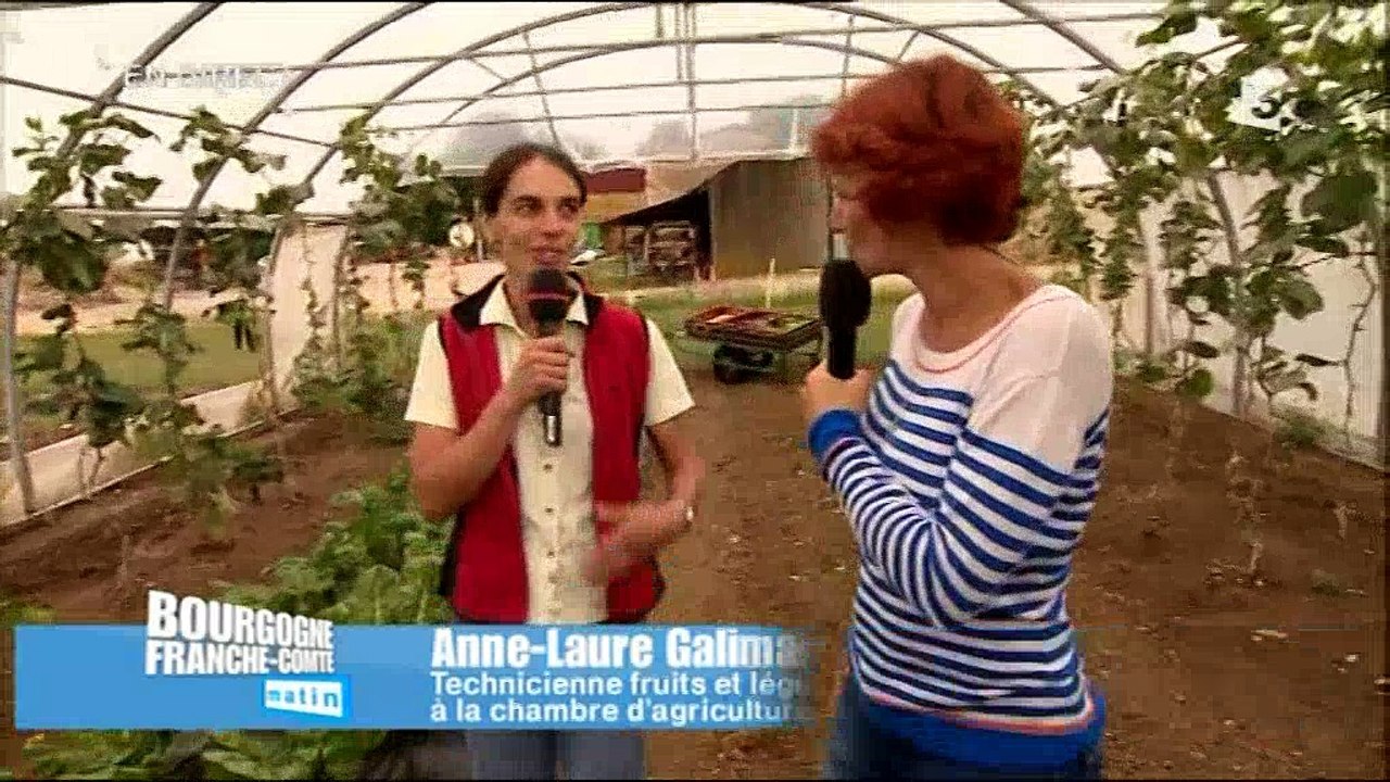 Cueillette à la ferme du château à Chevigny-Saint-Sauveur : Direct 3
