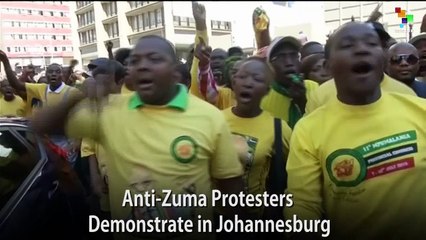 Anti-Zuma Protesters Demonstrate in Johannesburg