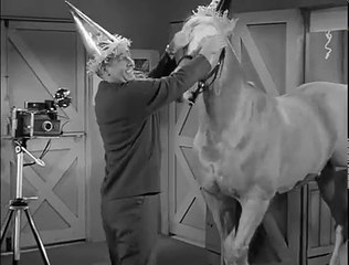 Mister Ed S5 | The Bank Robbery