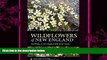 there is  Wildflowers of New England: Timber Press Field Guide (A Timber Press Field Guide)