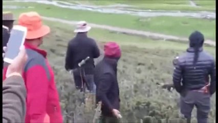¿Qué Usain Bolt es rápido espera ver a este tibetano perseguido por oso