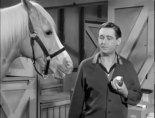 Mister Ed S5 | Robin Hood Ed
