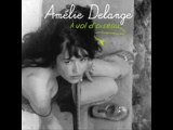 Amélie delange - à vol d'oiseau