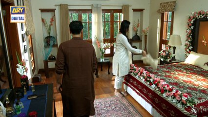 Watch Tum Milay Episode 09 on Ary Digital in High Quality 5th September 2016