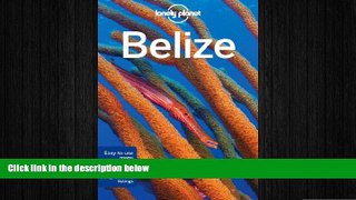 there is  Lonely Planet Belize (Travel Guide)