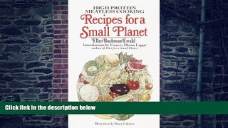 Big Deals  Recipes for Small Planet  Free Full Read Most Wanted