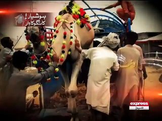 Informative video before buying Sacrificial animal