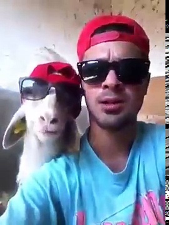 Modern Bakra