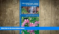 FREE PDF  Yellowstone Trees   Wildflowers: A Folding Pocket Guide to Familiar Species of the