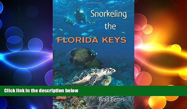 different Snorkeling the Florida Keys