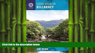 FREE DOWNLOAD  Scenic Walks in Killarney: A Walking Guide READ ONLINE