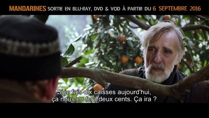 MANDARINES Bande Annonce (Guerre, 2016)