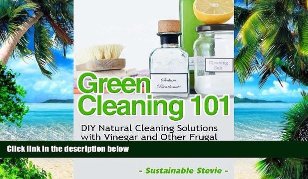 Big Deals Green Cleaning 101 (DIY Natural Cleaning Solutions with Vinegar and Other Frugal