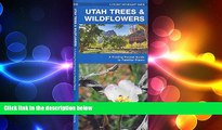 READ book  Utah Trees   Wildflowers: A Folding Pocket Guide to Familiar Species (Pocket