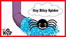 itsy bitsy spider | ABC song | alphabet song | rhymes | baa baa black sheep | ABC song | alphabet song | rhymes | baa baa black sheep