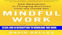 New Book Mindful Work: How Meditation Is Changing Business from the Inside Out (Eamon Dolan)