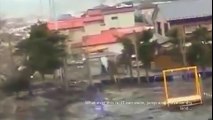 During Japan Tsunami a Strange Creature was Caught on Camera - Real Footage