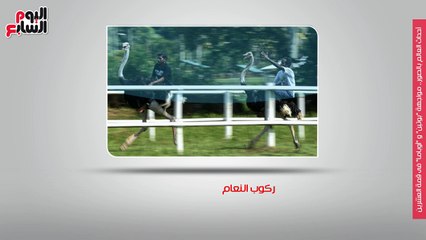 أحداث العالم بالصور.. مواجهة "بوتين" و "أوباما" فى قمة العشرين