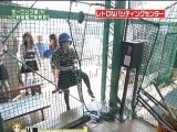 バッティングセンター Batting center