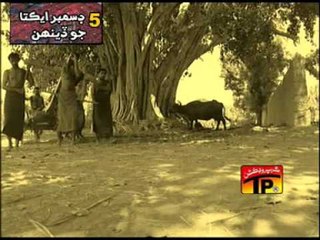 Sindh Jiye Sindh Wara.