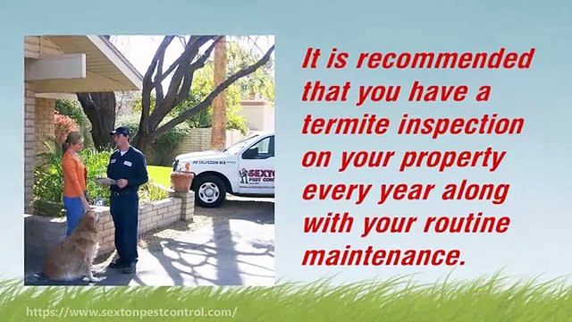Regular Termite Inspections Will Protect Your Home