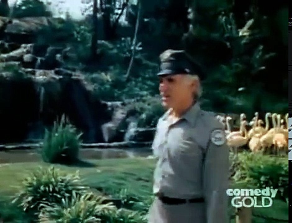 Rhoda S05E07 Martin Comes Home