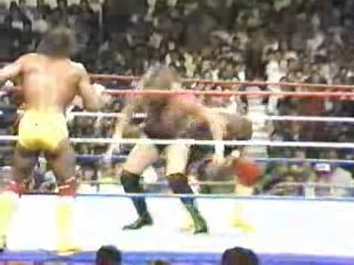 1988SummerSlam Hulk Hogan Randy Savage v Andre & Ted Dibiase