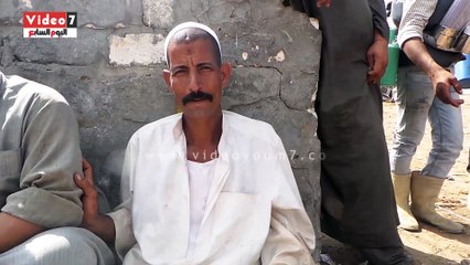 بالفيديو.. تجار سوق الثلاثاء بالإسكندرية: المواطنون عزفوا عن شراء "العجول" وأقبلوا على الخراف بسبب السعر