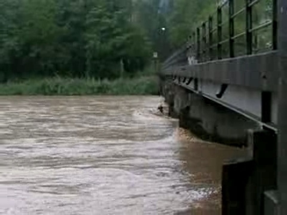 Baum in Pfeiler Biberstein-Rohr 2005