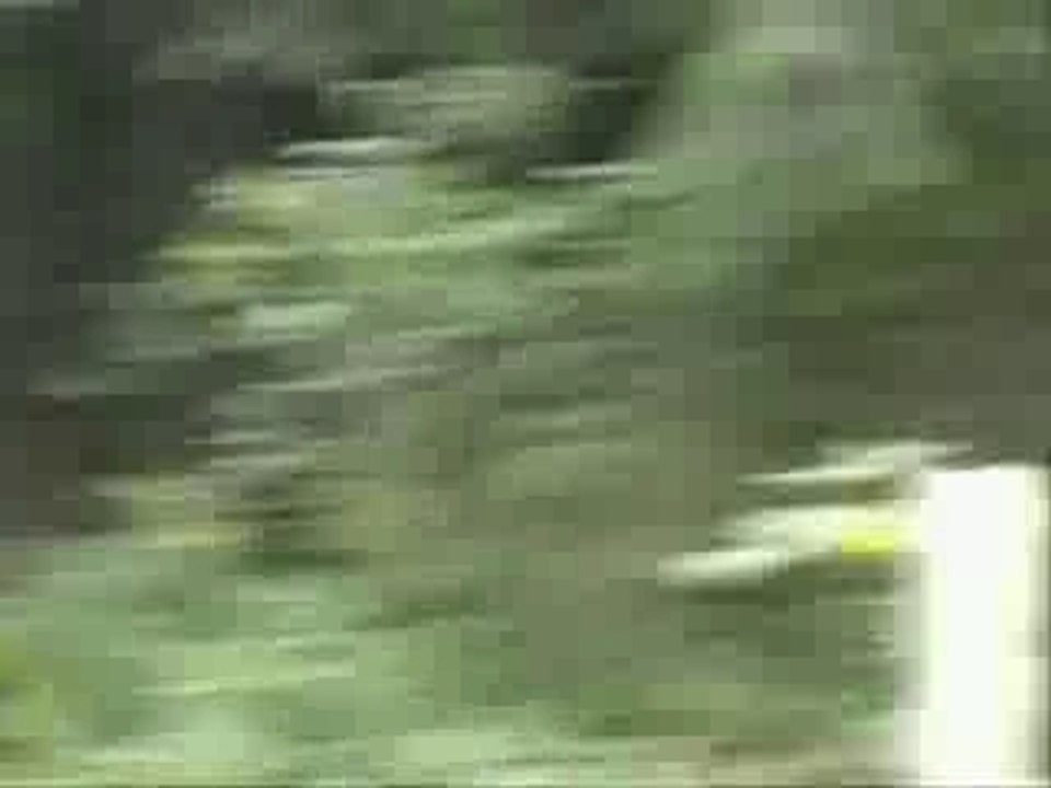 Cenise Bargy été 2007 Carrefour de la Patte d'oie