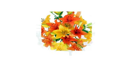 online flower delivery in jaipur