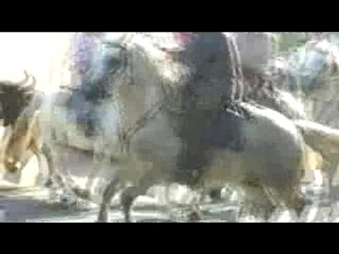 fête votive de marsillargues 2007