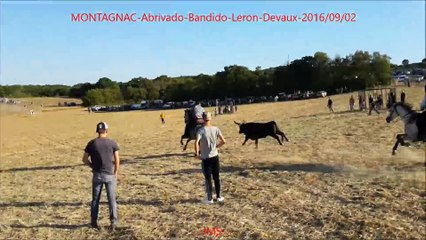 MONTAGNAC-Abrivado-Bandido-Leron-Devaux-2016-09-02-dailymotion