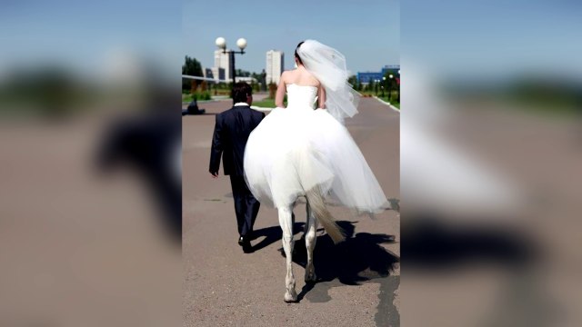 11 ILLUSIONS D'OPTIQUE INCROYABLES - Sais-tu que?