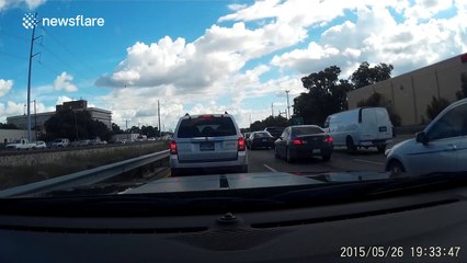 Man stops on busy motorway to rescue kitten