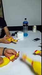 De la musique électronique (EDM) avec des poulets en plastique !