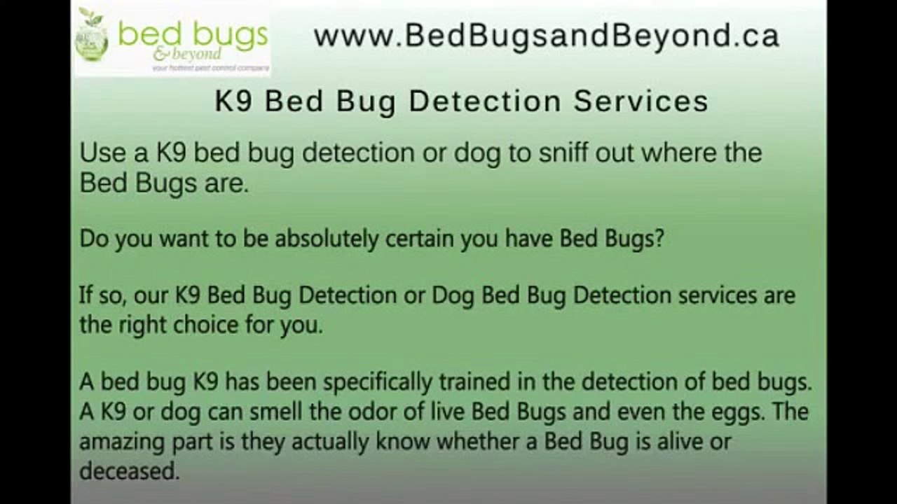 K9 Bed Bug Detection Services