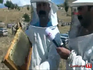 Komünist fasulye ve nohuttan sonra 'komünist bal geliyorc