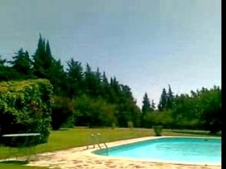 Les cigales de chez Yoyo